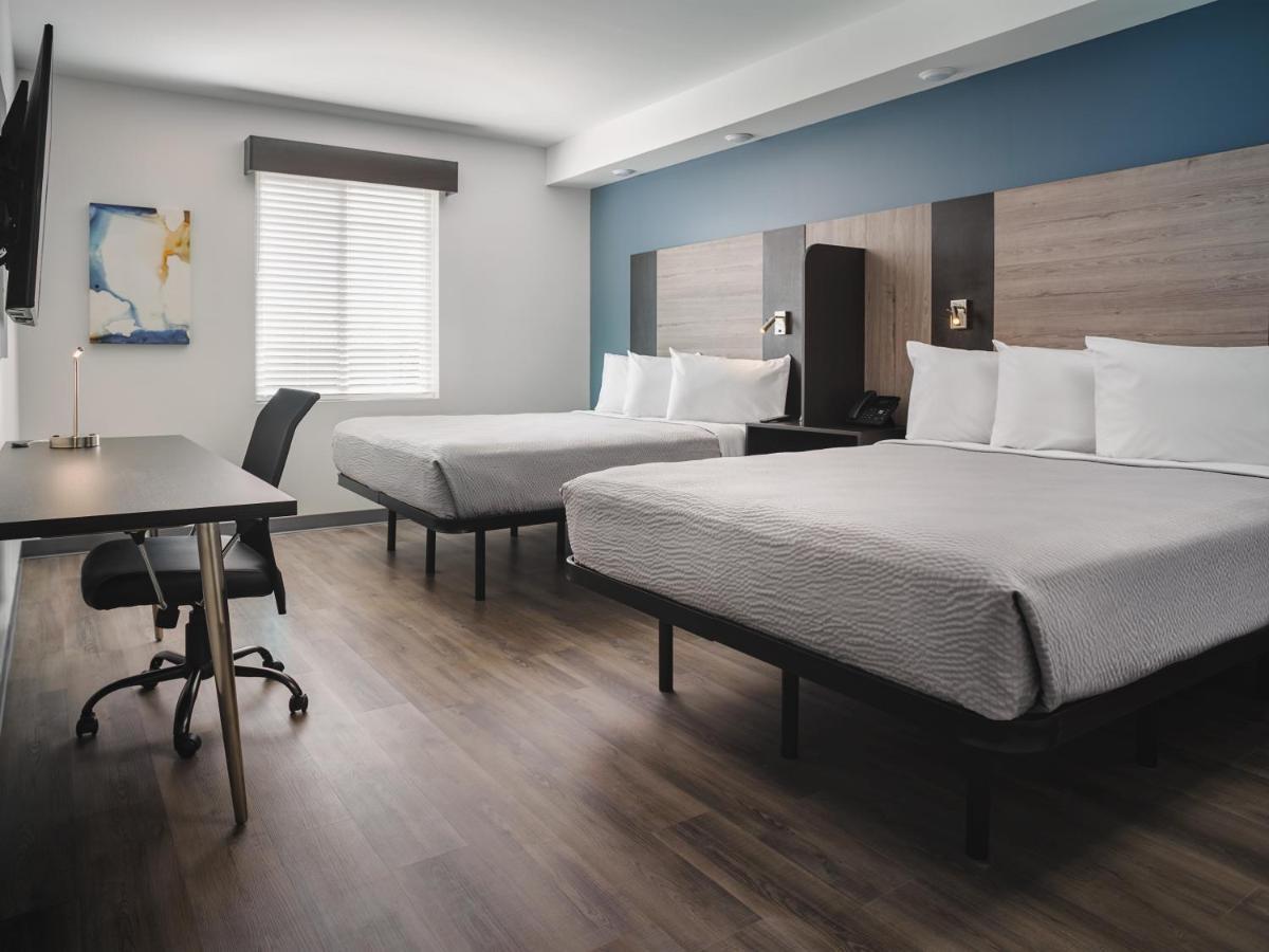 Stayapt Suites San Antonio-Randolph Live Oak Kültér fotó